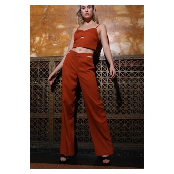 WALTER BAKER Brown Gal Pant Cutout Wide Leg Trousers Cinnamon Size 4 NWT - Picture 3 of 6